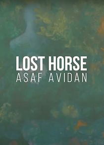 Watch Asaf Avidan: Lost Horse