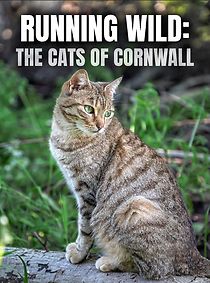 Watch Running Wild: The Cats of Cornwall (TV Special 2020)