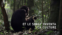 Watch Das Geheimnis der Affen: Kulturforschung bei Schimpansen