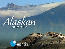 Watch Alaskan Summer