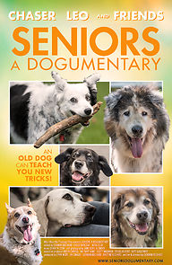 Watch Seniors, a dogumentary