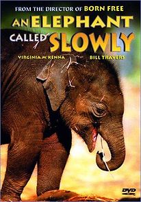 Watch An Elephant Called Slowly