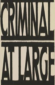 Watch A Criminal at Large