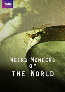 Watch Weird Wonders of the World
