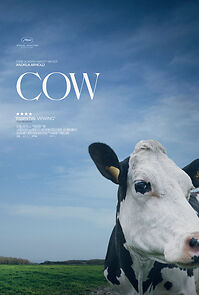 Watch Cow