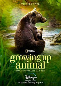 Watch Growing Up Animal