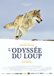 Watch L'Odyssée du Loup