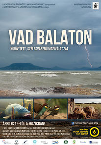 Watch Vad Balaton