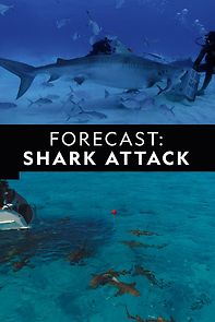 Watch Forecast Shark Attack (TV Special 2019)