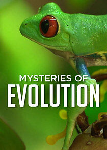 Watch Mysteries of Evolution