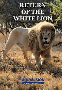 Watch Return of the White Lion