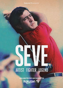 Watch SEVE Artist Fighter Legend