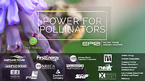 Watch Power for Pollinators (Short 2020)