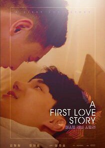Watch A First Love Story