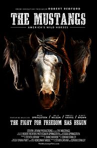 Watch The Mustangs: America's Wild Horses