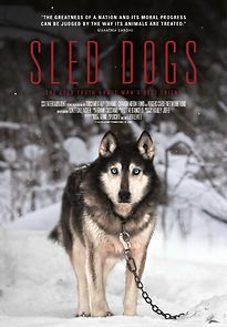 Watch Sled Dogs