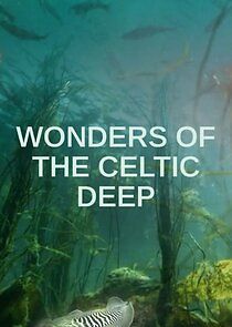 Watch Wonders of the Celtic Deep