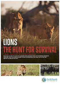 Watch Lions: The Hunt for Survival