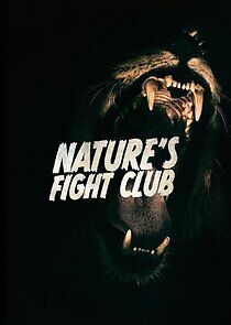 Watch Nature's Fight Club
