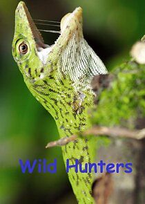 Watch Wild Hunters