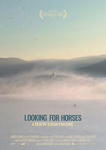 Watch Looking for Horses