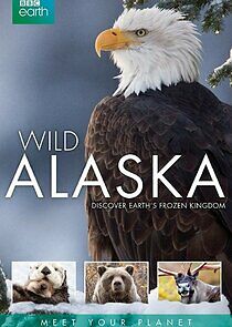 Watch Wild Alaska