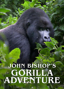 Watch John Bishop's Gorilla Adventure