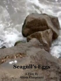 Watch Seagull Eggs (Short 2014)