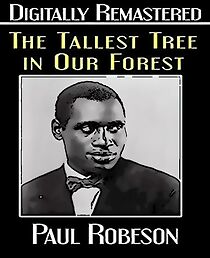 Watch The Tallest Tree in Our Forest