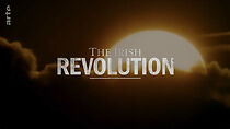 Watch The Irish Revolution