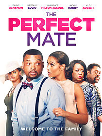 Watch The Perfect Mate