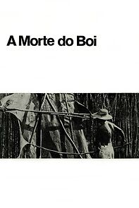 Watch A Morte do Boi (Short 1970)