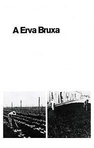 Watch A Erva Bruxa (Short 1970)