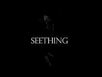 Watch Seething