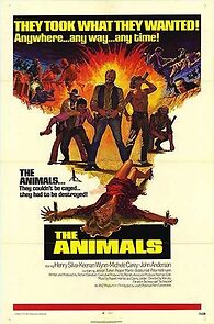 Watch The Animals