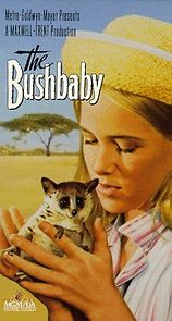 Watch The Bushbaby