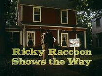Watch Ricky Raccoon Shows the Way (Short 1978)