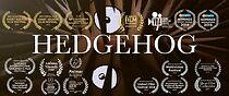 Watch Hedgehog (Short 2018)