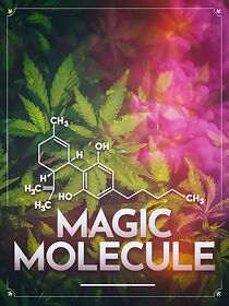 Watch Magic Molecule
