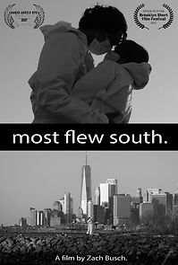 Watch Most Flew South (Short 2020)