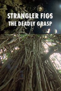 Watch Strangler Figs: The Deadly Grasp