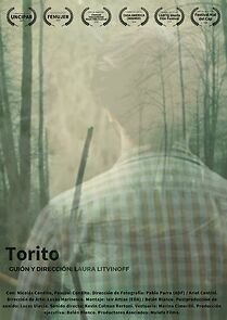Watch Torito (Short 2019)