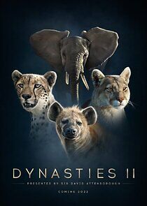 Watch Dynasties II
