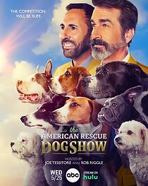 Watch 2022 American Rescue Dog Show (TV Special 2022)