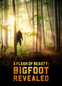 Watch A Flash of Beauty: Bigfoot Revealed