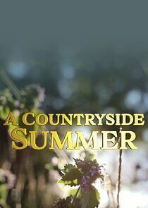 Watch A Countryside Summer