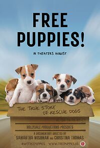 Watch Free Puppies!