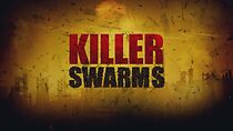 Watch Killer Swarms