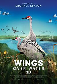 Watch Wings Over Water