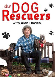 Watch The Dog Rescuers with Alan Davies